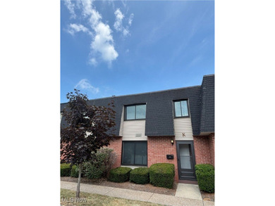 Lake Erie - Lorain County Condo Sale Pending in Avon Lake Ohio