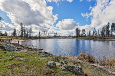 Your new waterfront home on acreage awaits! Set on 11.29 acres - photo 26