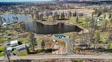 Your new waterfront home on acreage awaits! Set on 11.29 acres - photo 33