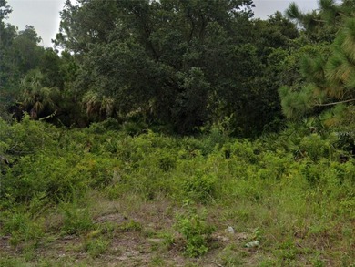 An exceptional opportunity to own an oversized corner lot in one - photo 3