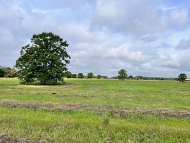 Prime Road Frontage Opportunity close to Richland Chambers Lake! - photo 29
