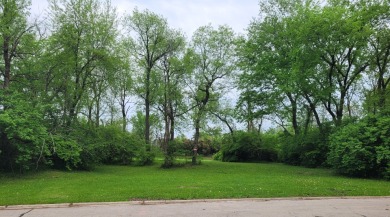 (private lake, pond, creek) Lot For Sale in Shorewood Illinois