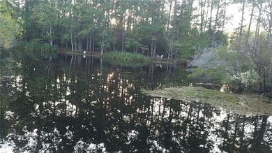 Lake Pontchartrain Acreage For Sale in Lacombe Louisiana