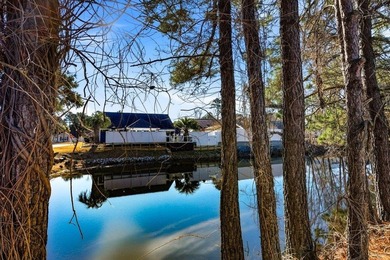 Welcome to 306 Pilot House Drive A Charming Home nestled in the - photo 24