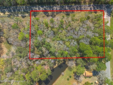 This 1.4 acre Rebekah subdivision property is at the corner of - photo 3