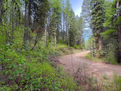 Lake Lot For Sale in Cascade, Idaho