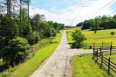 Sitting on the Tennessee River, this 8/4 +- acre tract, gently - photo 2