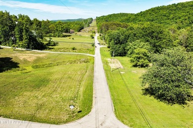 Sitting on the Tennessee River, this 8/4 +- acre tract, gently - photo 4