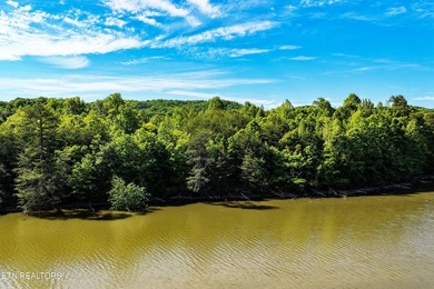 Sitting on the Tennessee River, this 8/4 +- acre tract, gently - photo 6