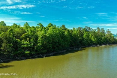 Sitting on the Tennessee River, this 8/4 +- acre tract, gently - photo 10