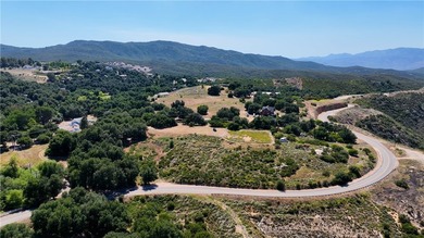 34561 S Main Divide - photo 11