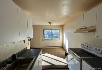 This spacious two-bedroom cooperative-style apartment is located - photo 4