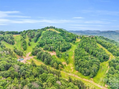 Experience mountain living at its finest in this beautifully - photo 38