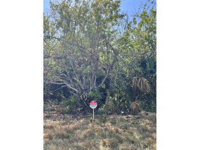 Port Charlotte Waterway Area Lot For Sale in Port Charlotte Florida