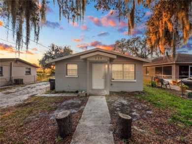 Lake Effie Home For Sale in Lake Wales Florida