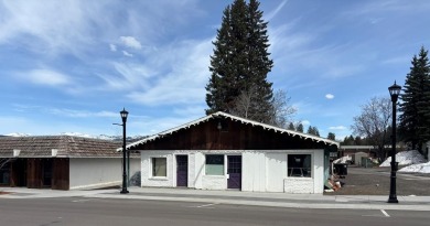 Lake Commercial For Sale in Mccall, Idaho