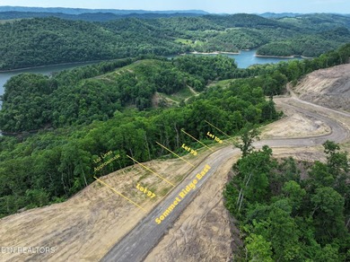 A new opportunity is available at Tennessee Vues. Recent - photo 3