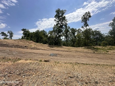 A new opportunity is available at Tennessee Vues. Recent - photo 1