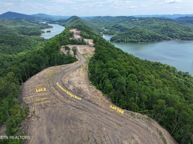 A new opportunity is available at Tennessee Vues. Recent - photo 3