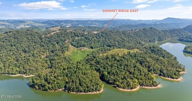 A new opportunity is available at Tennessee Vues. Recent - photo 9