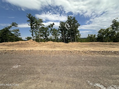 A new opportunity is available at Tennessee Vues. Recent - photo 1
