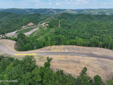 A new opportunity is available at Tennessee Vues. Recent - photo 3