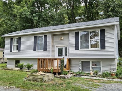 Lake Home For Sale in Hawley, Pennsylvania