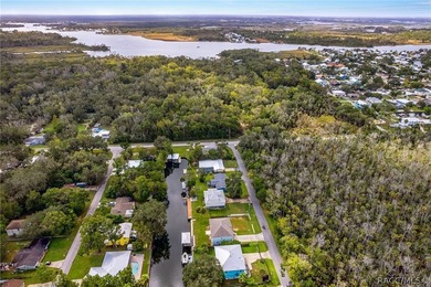 Experience Gulf Coast lifestyle in this elevated custom - photo 12