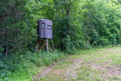 (private lake, pond, creek) Acreage For Sale in Glen Allen Missouri