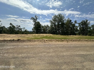 A new opportunity is available at Tennessee Vues. Recent - photo 1