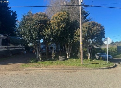 Seller is selling property with occupant. Please do not disturb - photo 3