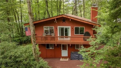 Lake Home For Sale in Tobyhanna, Pennsylvania