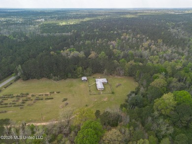63 acres, home and pole barn! Located just inside George County - photo 19