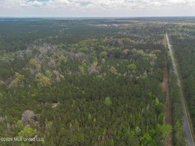63 acres, home and pole barn! Located just inside George County - photo 20