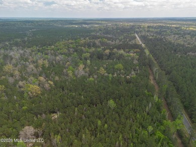 63 acres, home and pole barn! Located just inside George County - photo 21