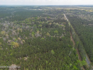 63 acres, home and pole barn! Located just inside George County - photo 22