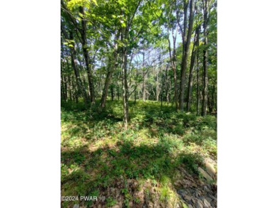 Moosic Lakes Acreage For Sale in Jefferson Pennsylvania