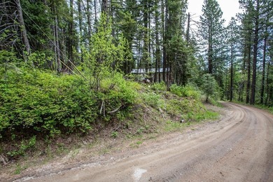 Lake Cascade  Acreage For Sale in Cascade Idaho