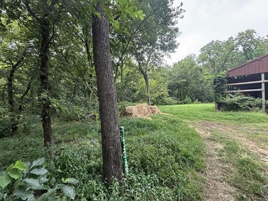 20 Acres at Shoal Creek and Spring River confluence! - photo 11
