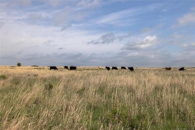 Experience the beauty and functionality of this 39.93-acre - photo 11