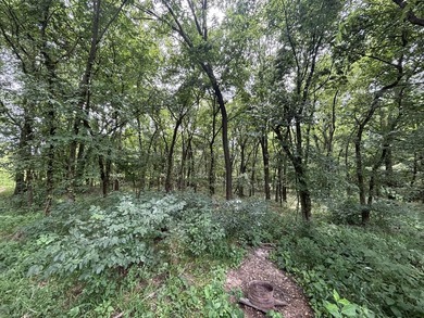 20 Acres at Shoal Creek and Spring River confluence! - photo 12