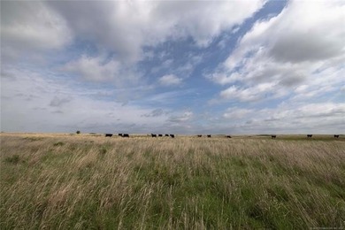 Experience the beauty and functionality of this 39.93-acre - photo 12