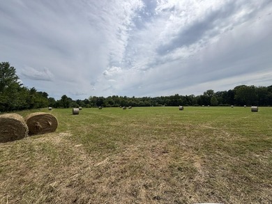 20 Acres at Shoal Creek and Spring River confluence! - photo 13