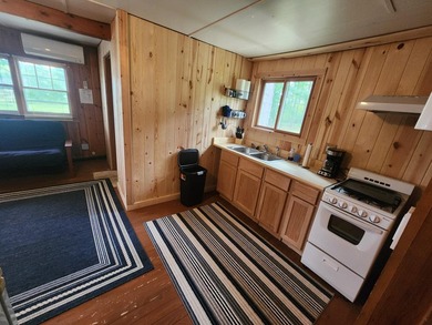 Charming and cozy cabin on the shores of Third Lake of THe Moen - photo 14