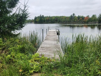 Charming and cozy cabin on the shores of Third Lake of THe Moen - photo 16