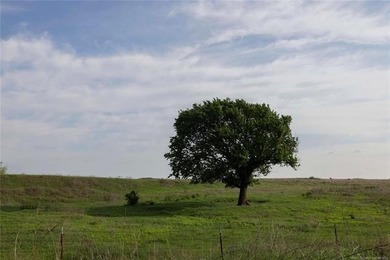 Experience the beauty and functionality of this 39.93-acre - photo 16