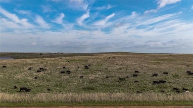 Experience the beauty and functionality of this 39.93-acre - photo 30