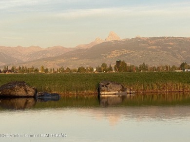 (private lake, pond, creek) Lot For Sale in Driggs Idaho