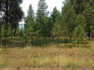 Lake Lot For Sale in Mccall, Idaho