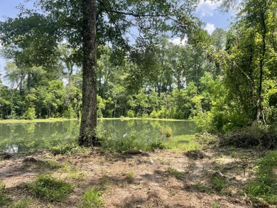 Pearl River Acreage For Sale in Columbia Mississippi